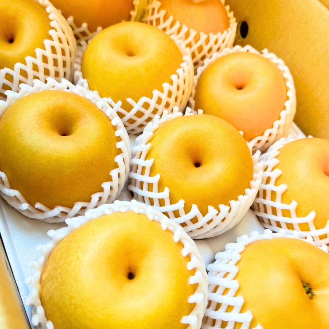 梨　新高梨　10玉　　14