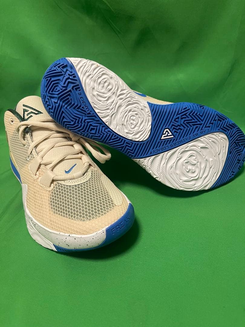 ナイキ ズームフリーク 26.0Nike Zoom Freak 1