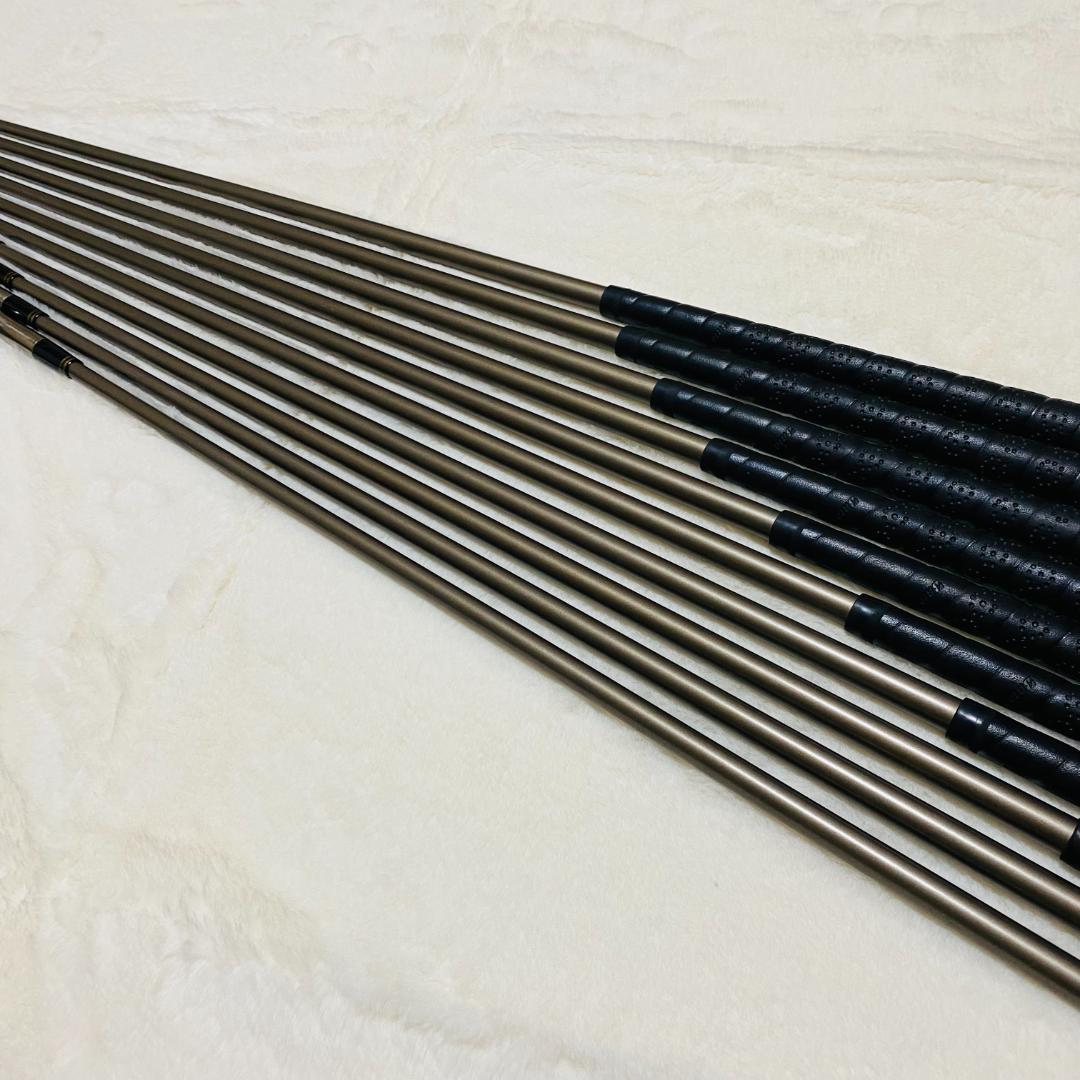 ブリヂストン TAN BEC TB-3 アイアン 3-9番 P PS S 10本