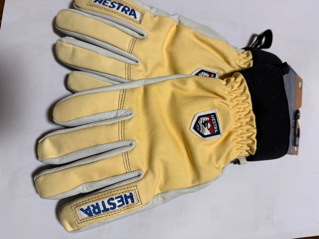 ヘストラ　Hestra Alpine Pro サイズ10 ユニセックスXL