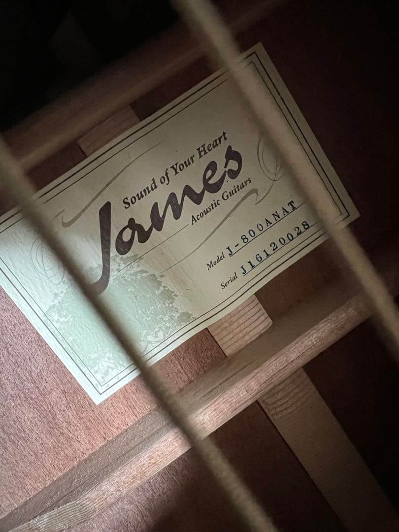 James オール単板 エレアコ　j-800a