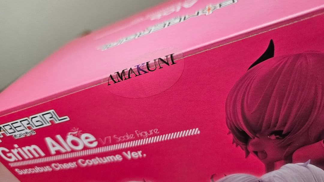 【未開封】 AMAKUNI グリム・アロエ サキュバスチアコスver.