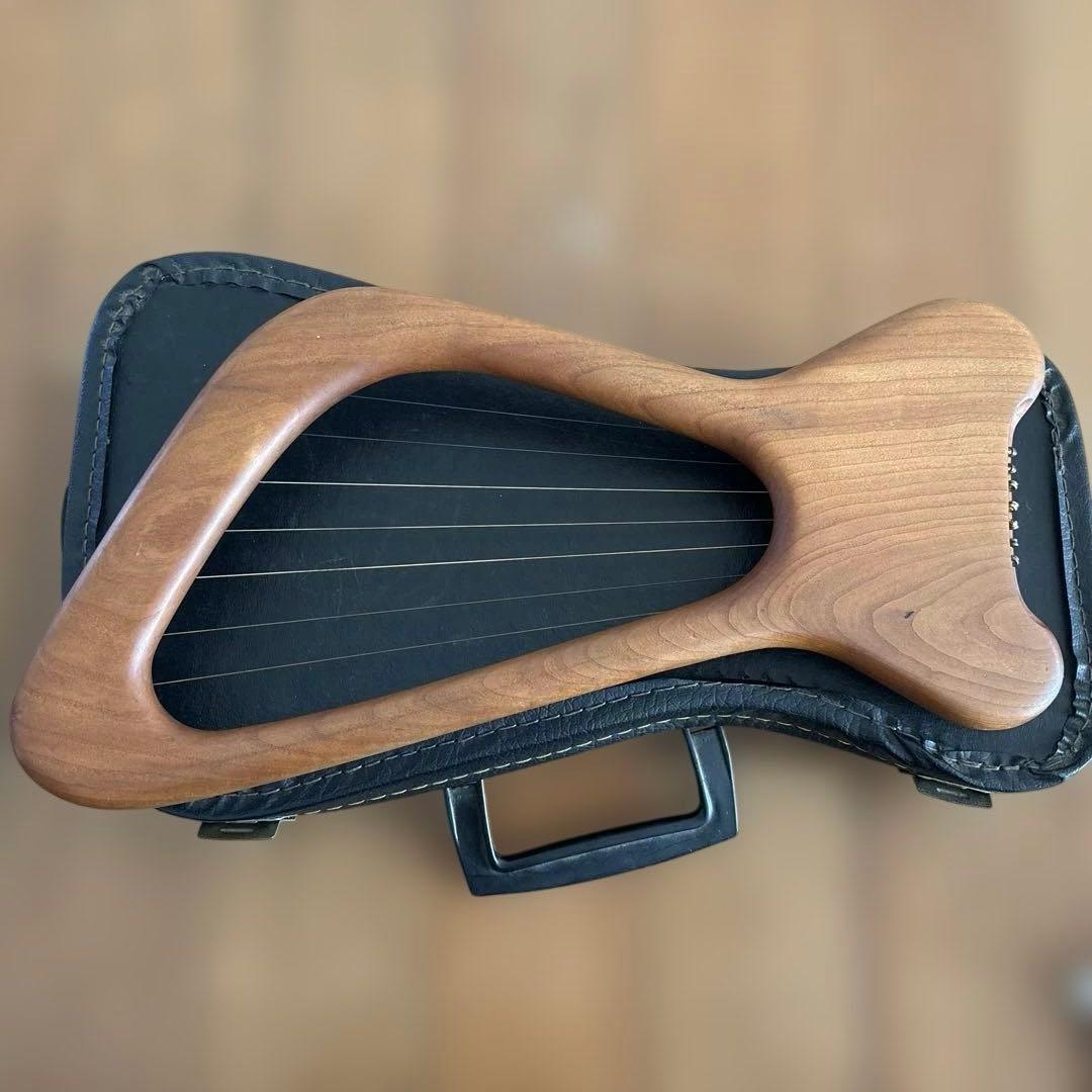 キンダーライアー ペンタトニック シュタイナー教育 訳あり