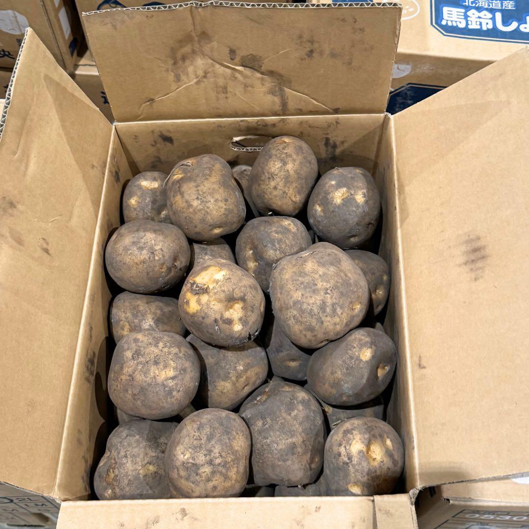 ジャンボサイズ　数量限定　じゃがいも　04