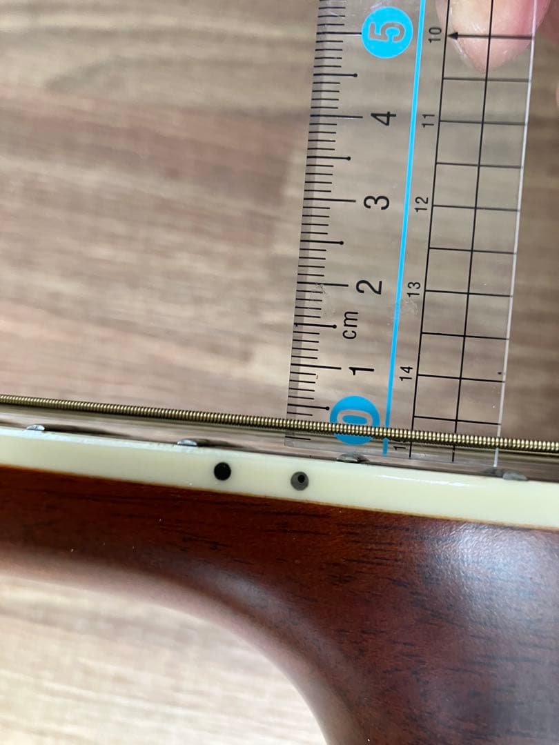 値下げ　MORRIS MF601 スプルース/ハカランダ