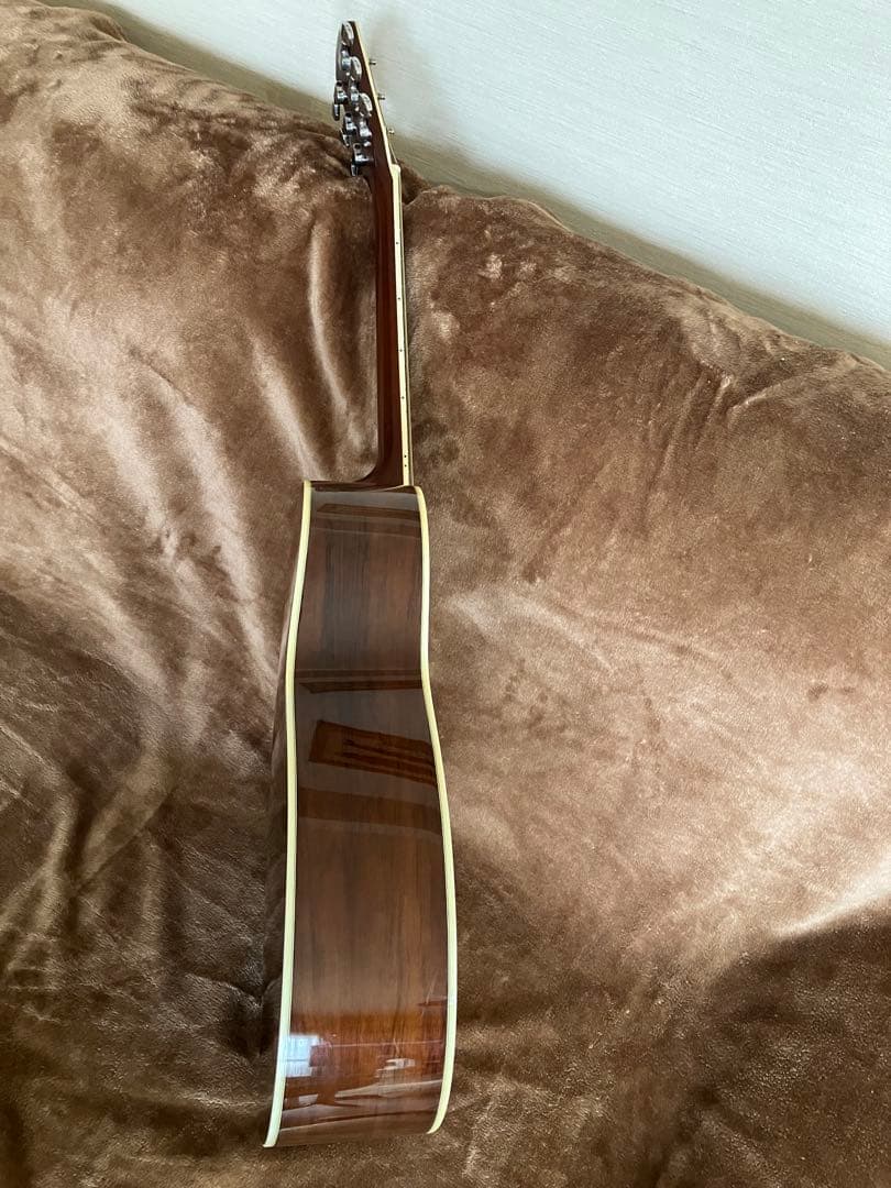 値下げ　MORRIS MF601 スプルース/ハカランダ