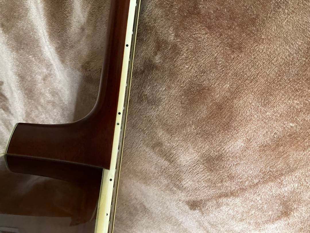 値下げ　MORRIS MF601 スプルース/ハカランダ