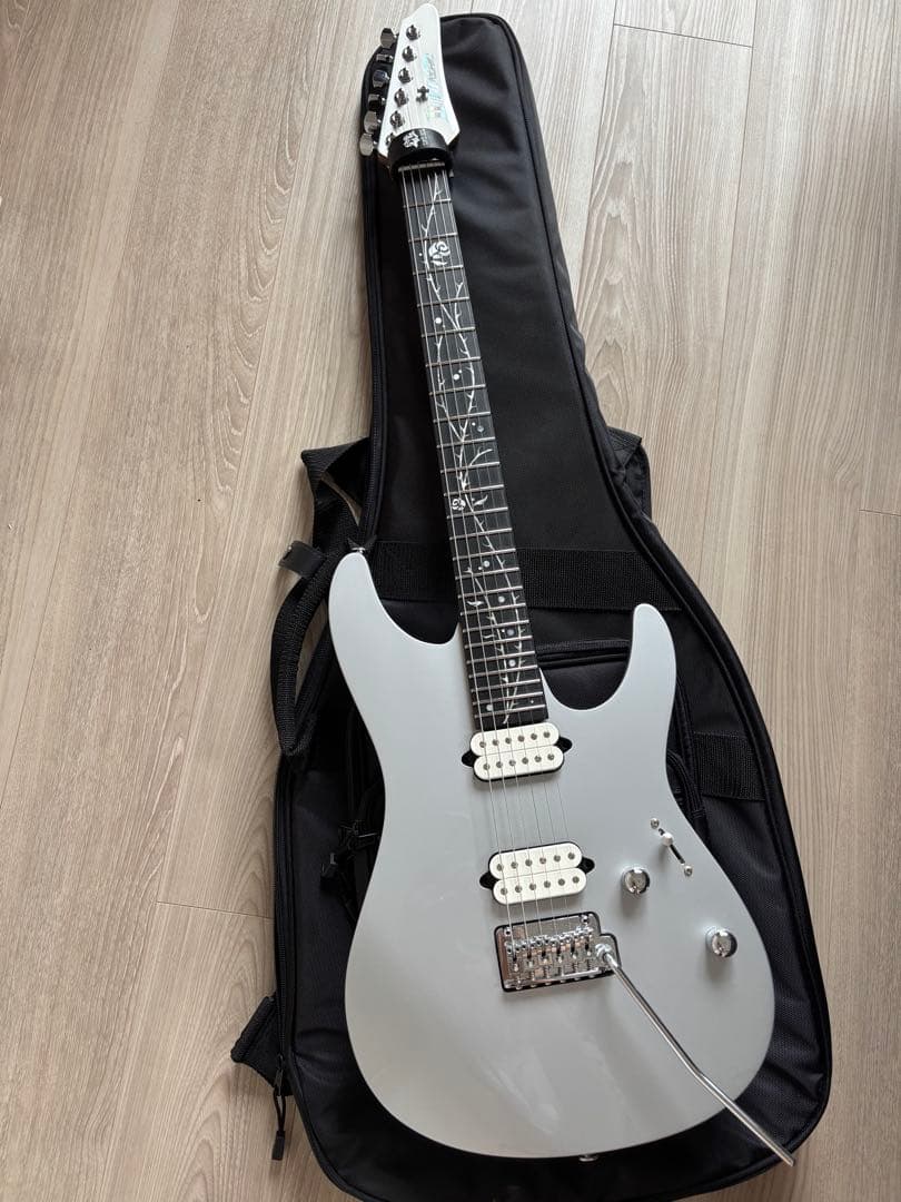 【最終値下】【ほぼ未使用】Ibanez TOD10 ソフトケース付き