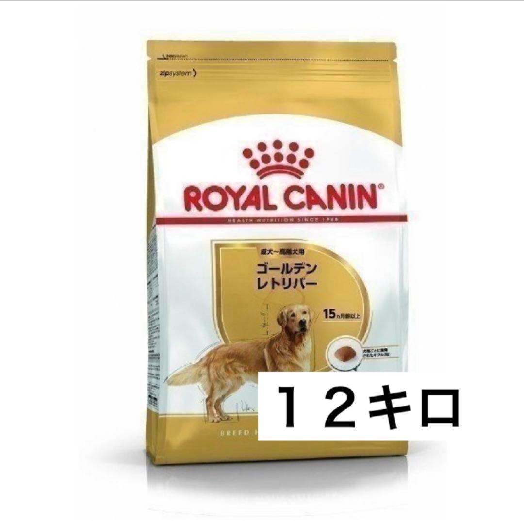 【セール】ロイヤルカナン ゴールデンレトリバー成犬用１２キロ