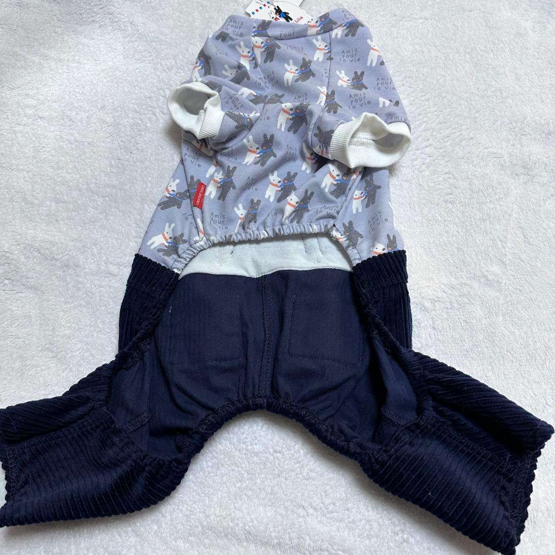 ペットパラダイス　クリエィティブヨーコ　 リサガス　Sサイズ（2枚組）