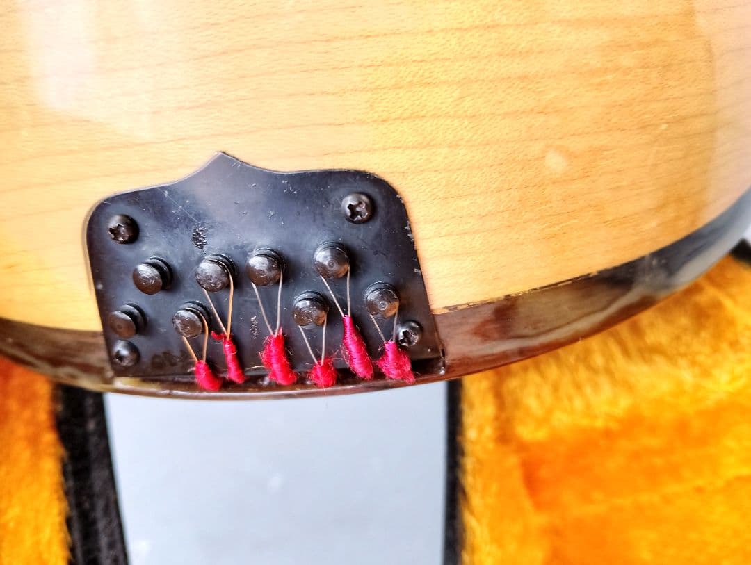 マンドリン監修者: 野口 実(あ13)