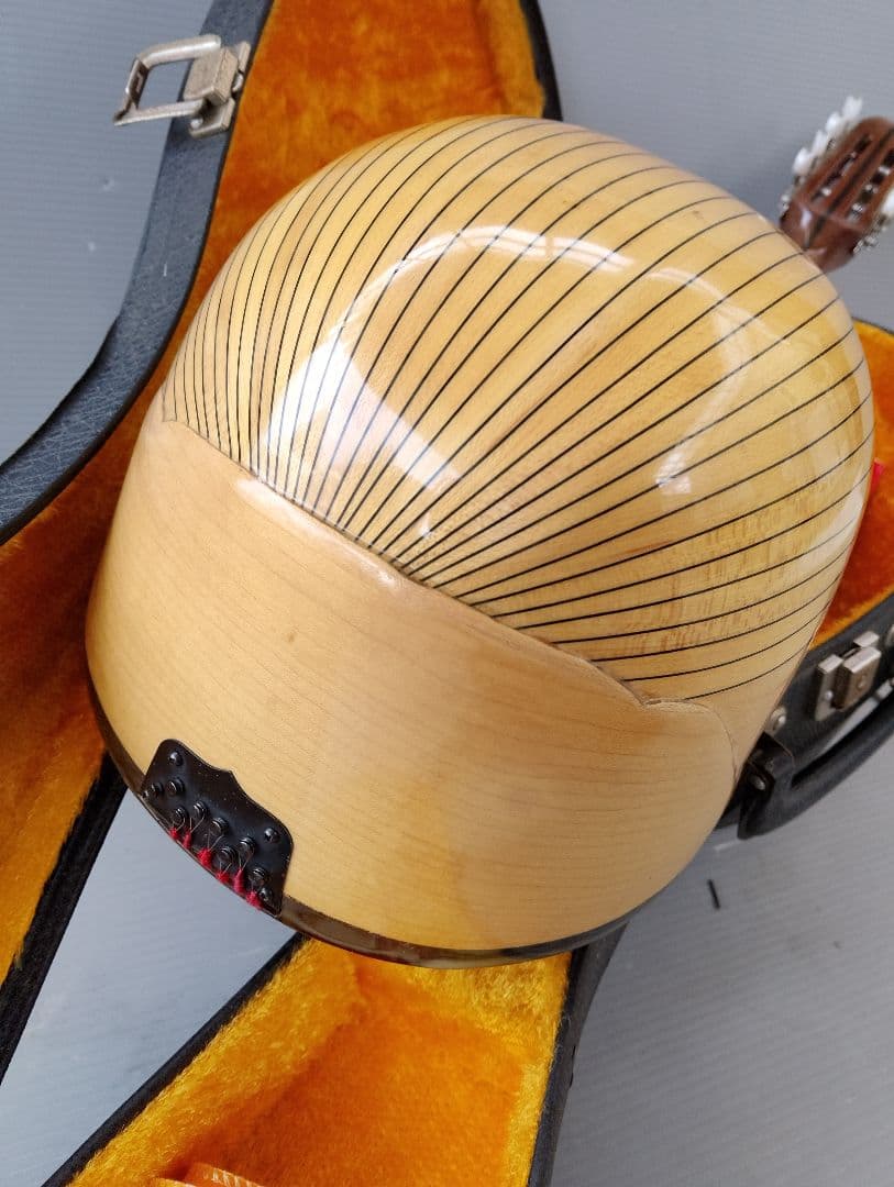 マンドリン監修者: 野口 実(あ13)