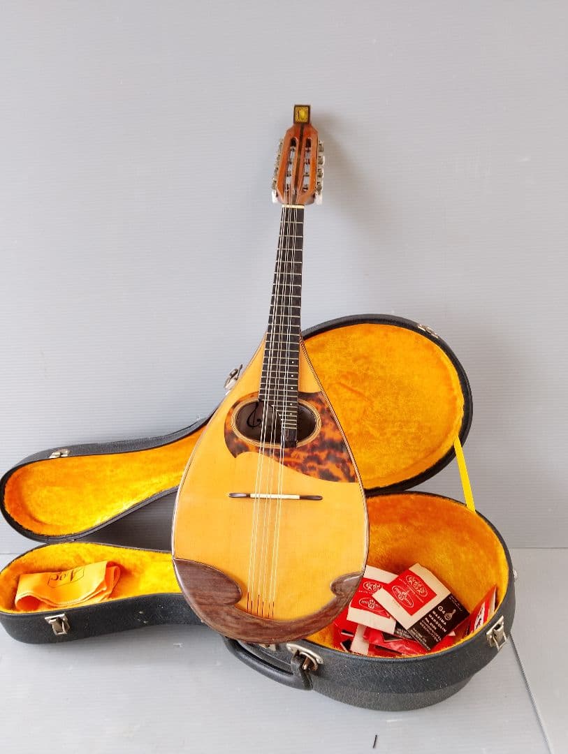 マンドリン監修者: 野口 実(あ13)