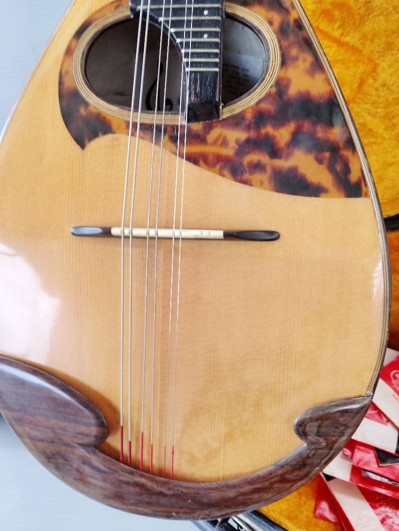 マンドリン監修者: 野口 実(あ13)