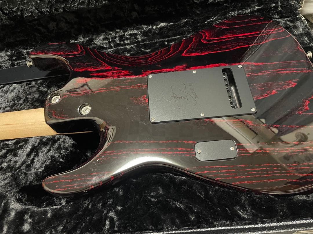 ギター Tom Anderson The Classic Dog Hair