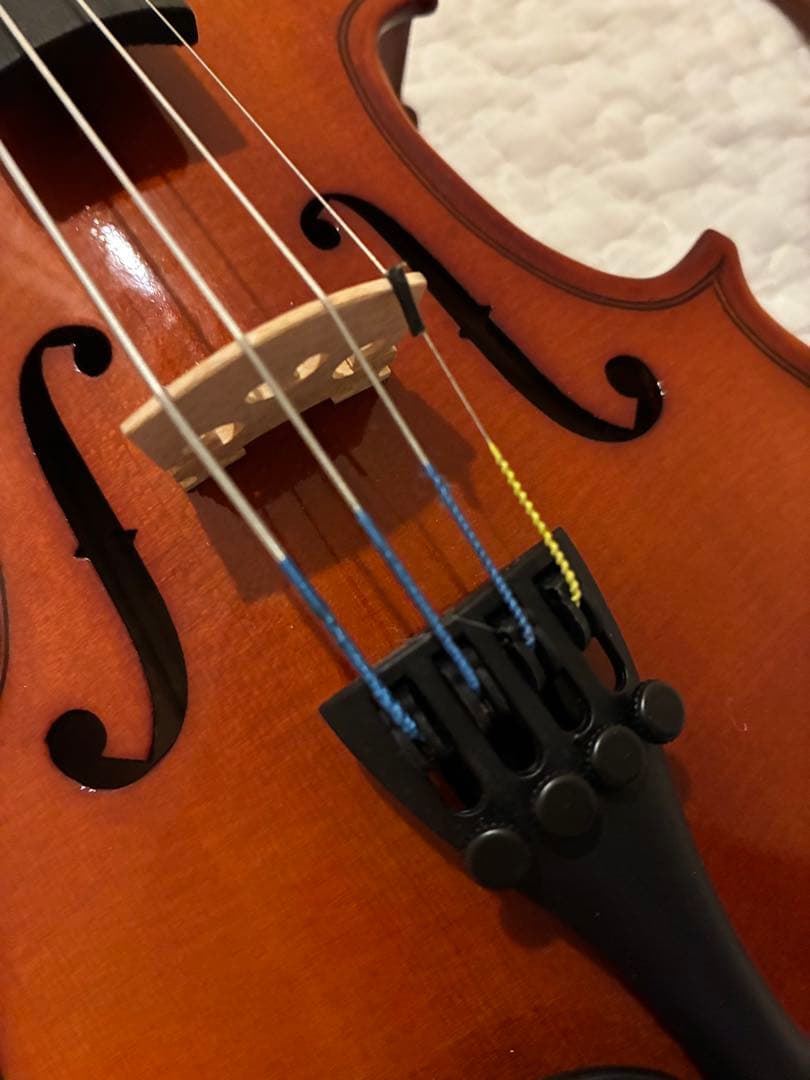 バイオリン 1/10サイズ カルロジョルダーノ【7点セット】