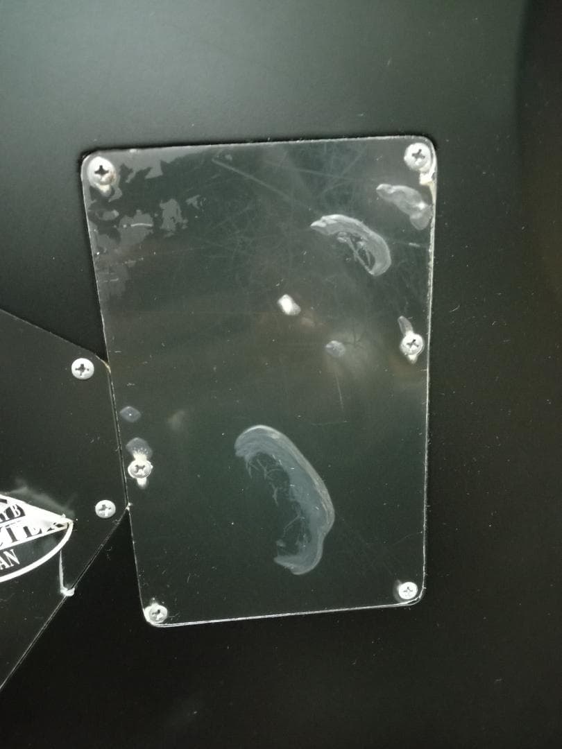 SCHECTER AD DM-FR/SBK AD DM-FR 6弦エレキギター