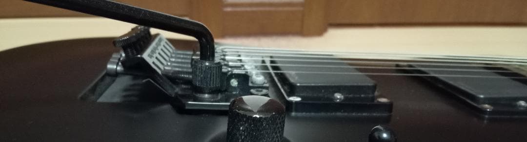 SCHECTER AD DM-FR/SBK AD DM-FR 6弦エレキギター