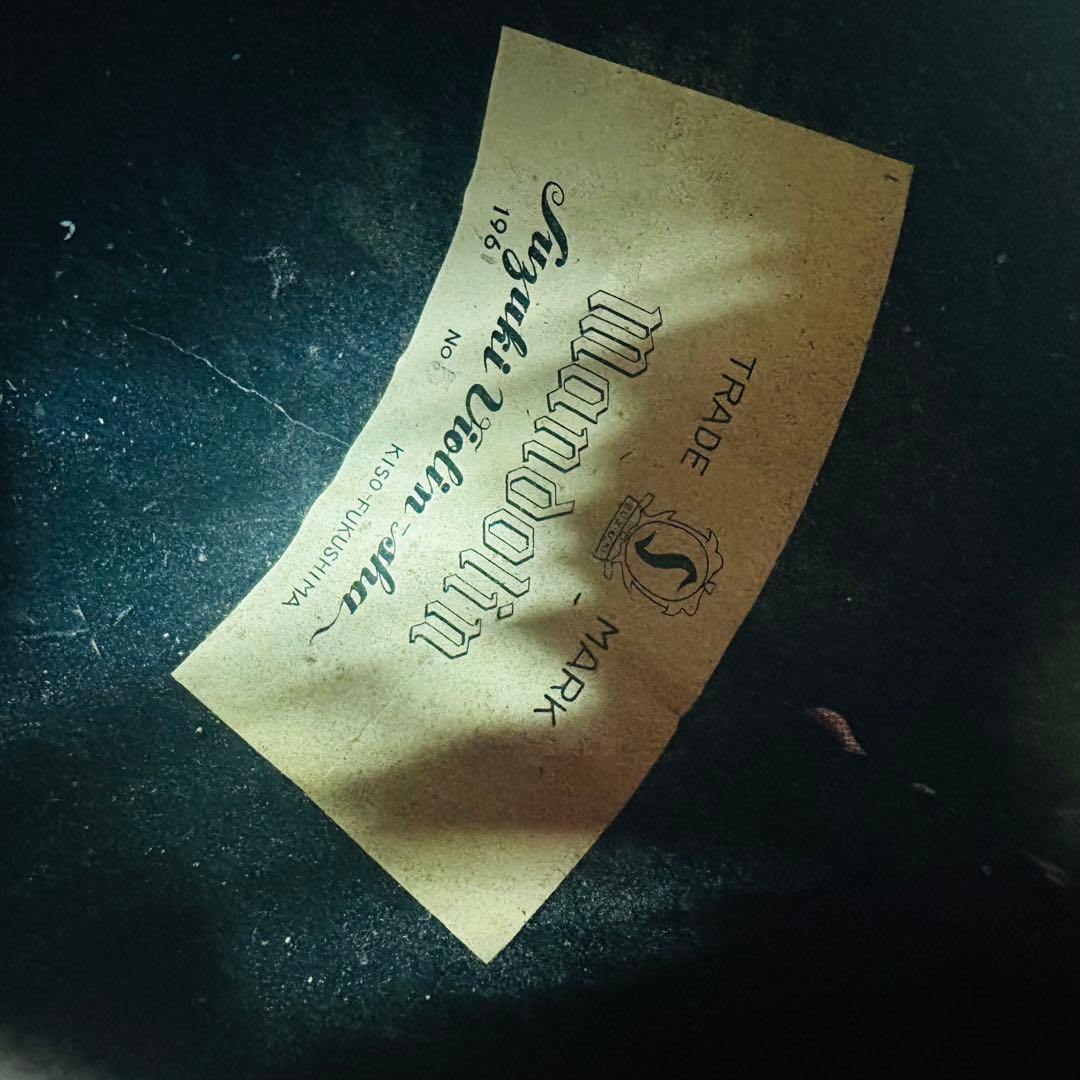 Suzuki Violin スズキバイオリン　マンドリン