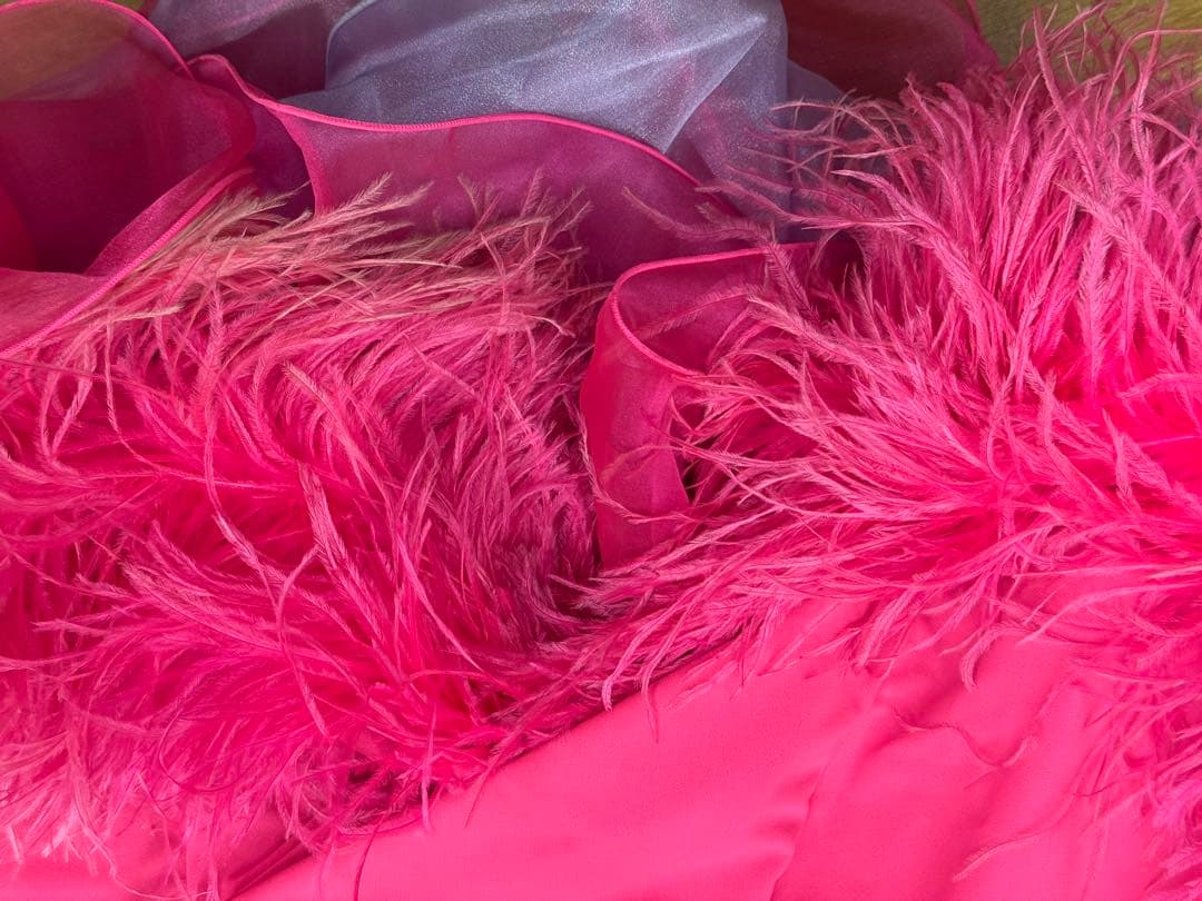 チャコット社交ダンスドレス ピンク フリルチョーカーとフロート付き 3 L日本製