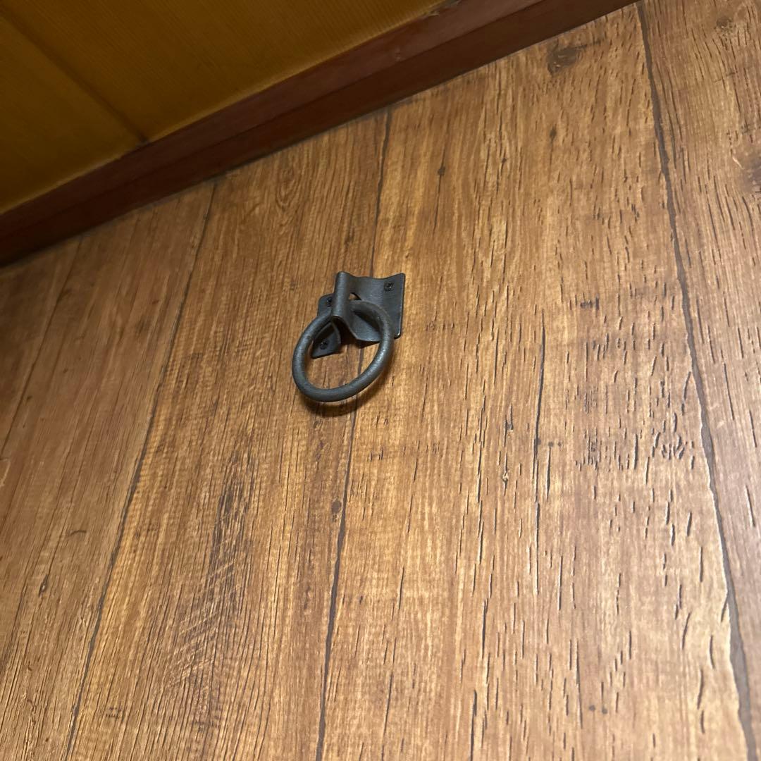 ジャンク BUCK-TICK 今井寿 FERNANDES STJ-80BT