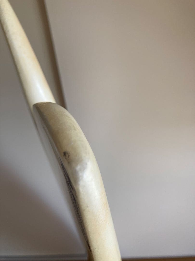 アルメリック　チャンネルアイランド　スパインテック　CI Fish