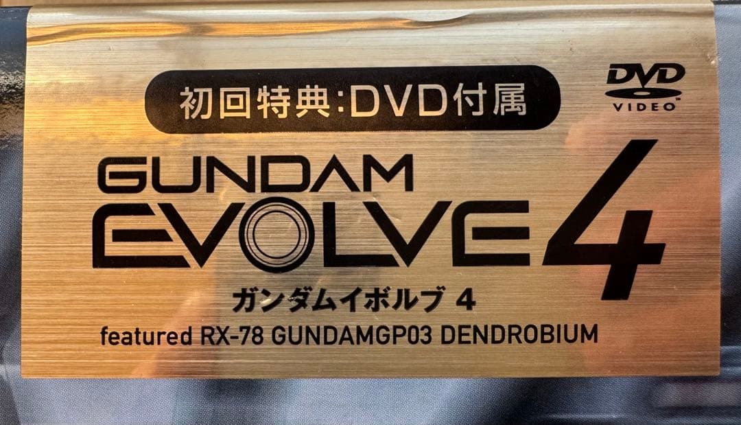 初回限定1/144 RX-78GP03 ガンダムGP03 デンドロビウム HG