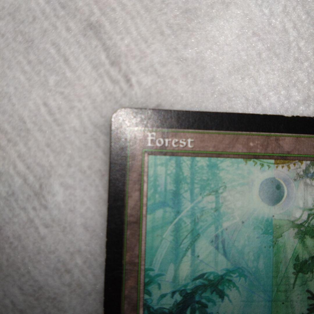 mtg guruランド　グルランド　森　PLD