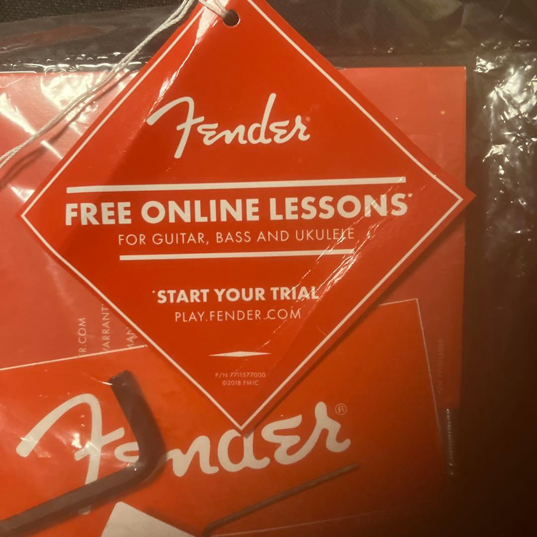 あ*な様 Fender Player II Series Stratocaste