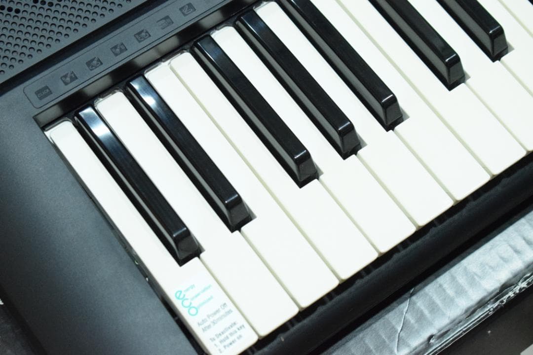 YAMAHA 電子キーボード PSR-E233 動作OK！