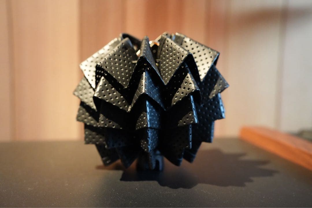 入手不可能新品、未使用solol-todopasa model (Black)