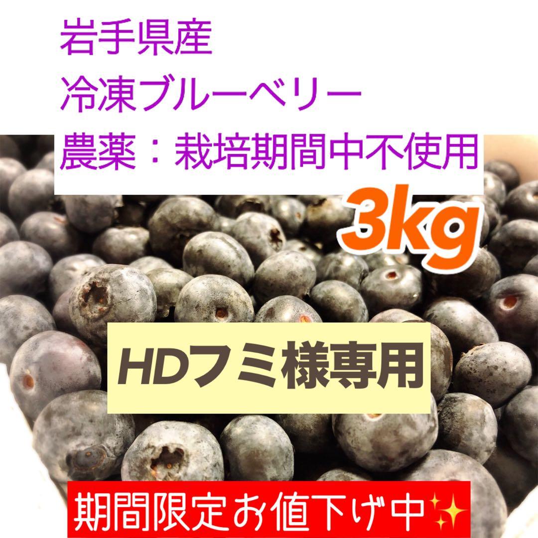 岩手県産 ブルーベリー 冷凍 3kg