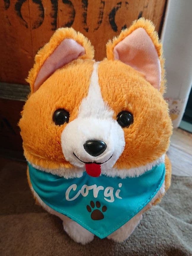 いち！にの！コーギー  【レア  サンプル品】JBサイズ