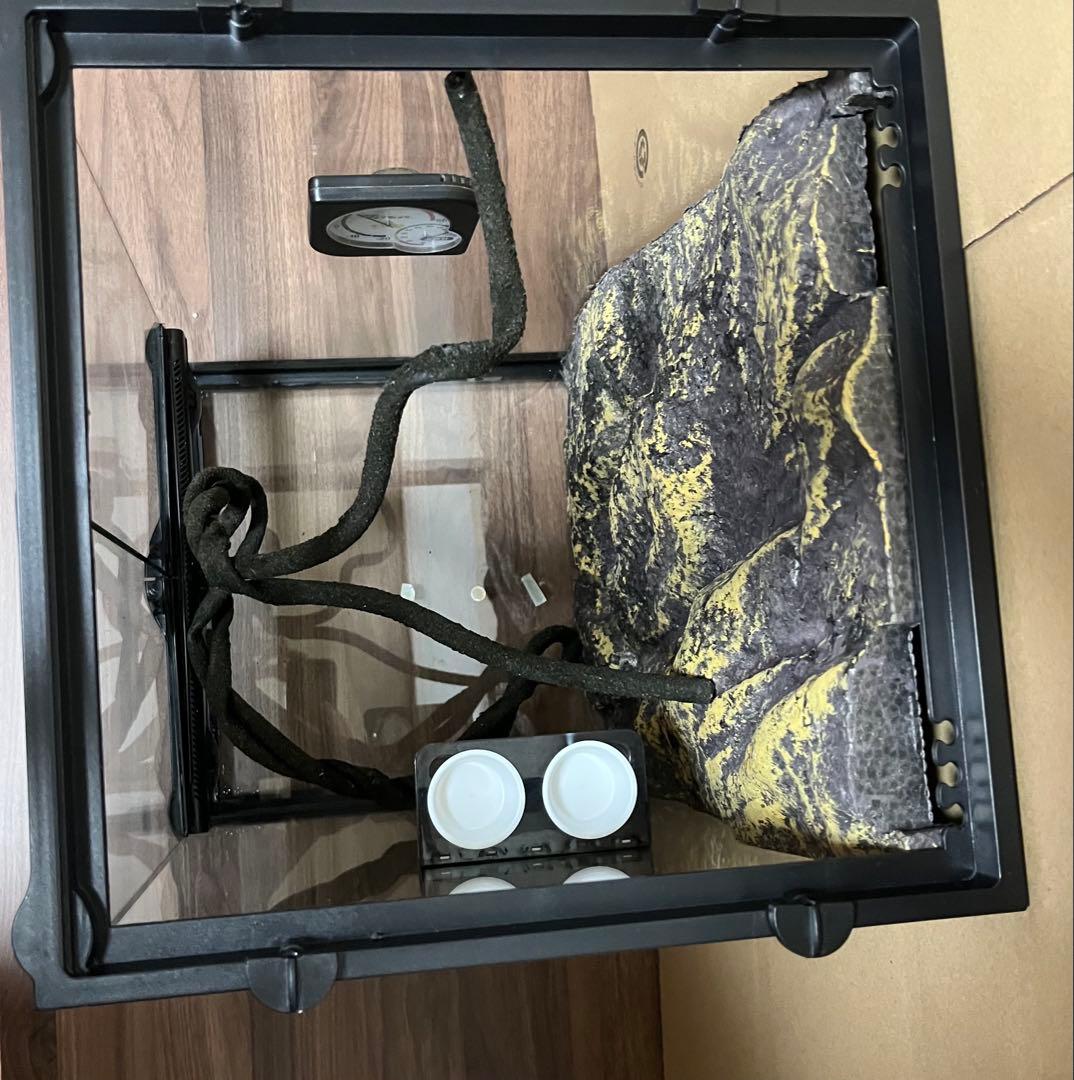 GEX グラステラリウム　3045 爬虫類　ケージ　温湿度計　餌水入れ　人工ツタ