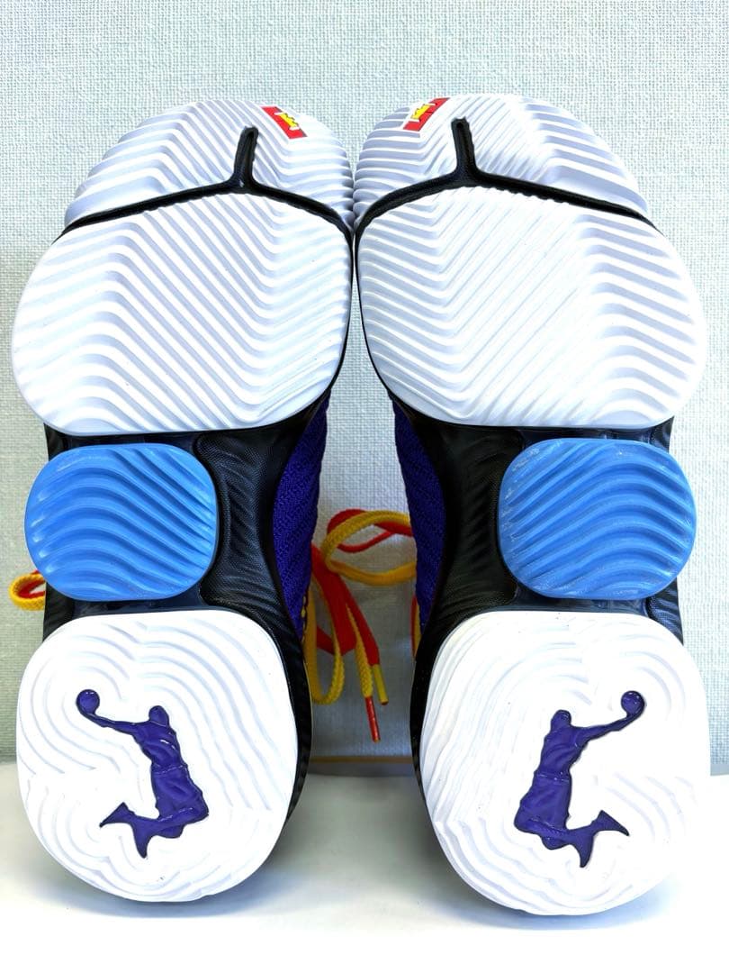 NIKE LEBRON XVI \"MARTIN\" 28cm 未使用品