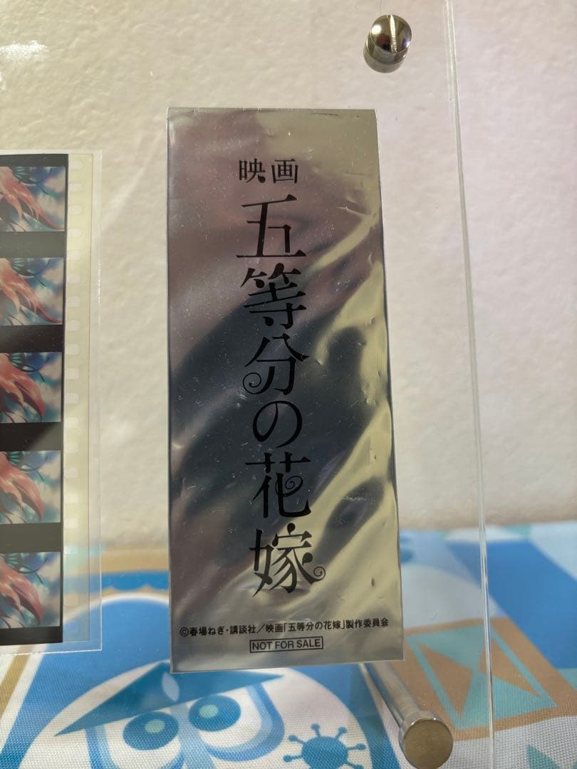 五等分の花嫁 映画特典 生コマフィルム 二乃