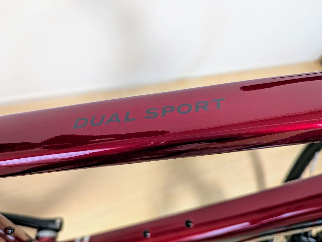 TREK トレック　Dual Sport 3 Gen 5　フレームサイズM