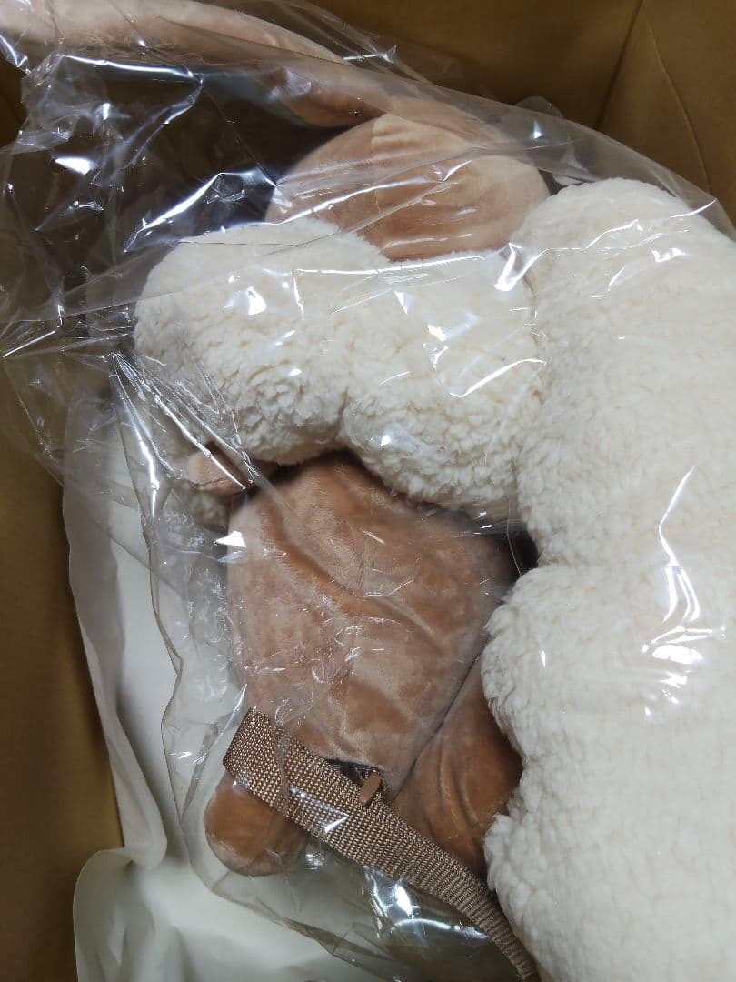 【新品】【未使用】ポケモンセンター　ボタンのイーブイリュック