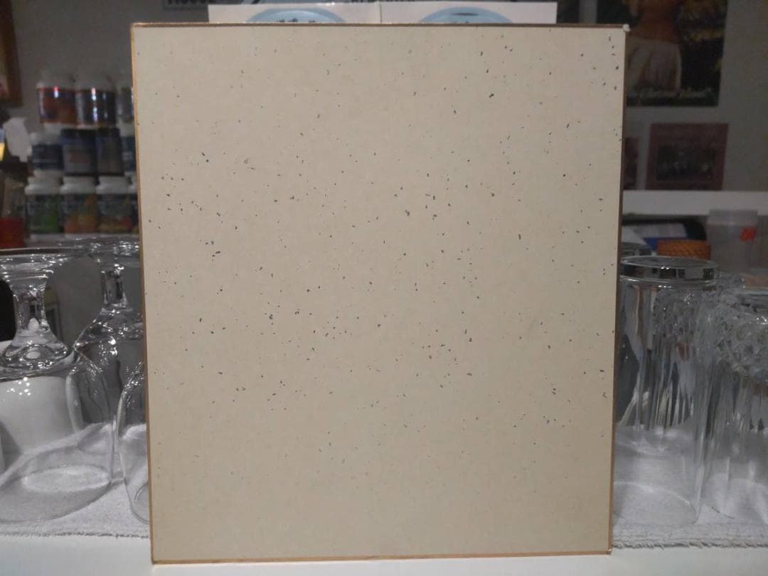 EPSON F1 Racing 1989年 レーシング 中島悟 直筆サイン 色紙