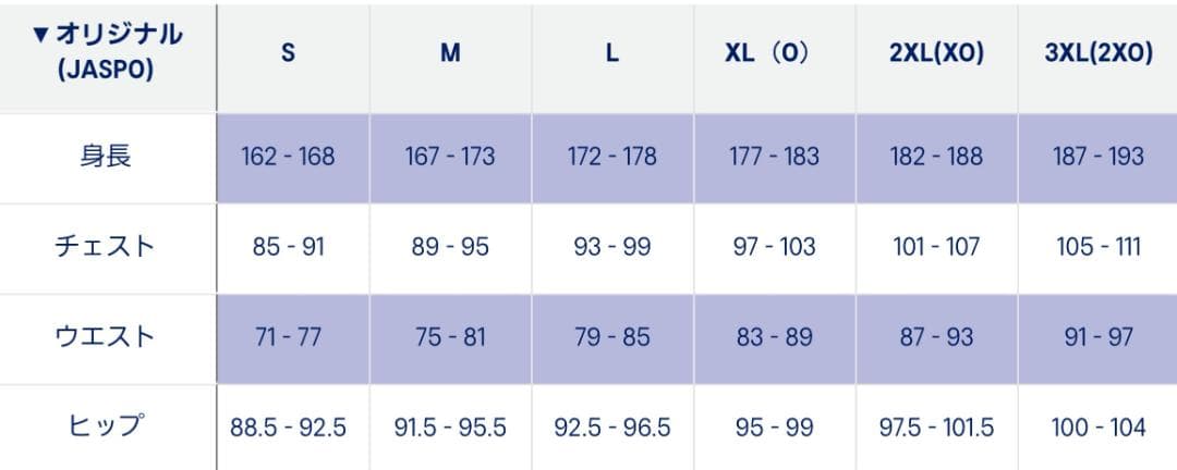 2025年 バレーボール男子日本代表 応援Tシャツ 宮浦健人 L ②