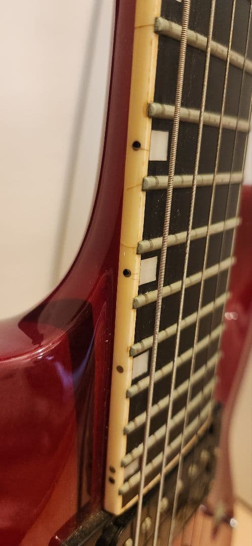 EDWARDS E-HR-120D エドワーズ スルーネック！