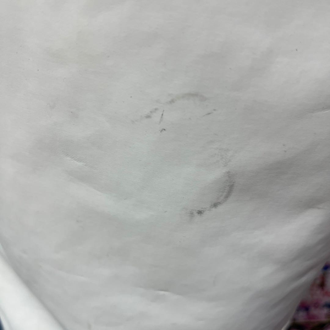 寶BR-985 タイトリストキャディバッグ 4.0kg 22cm