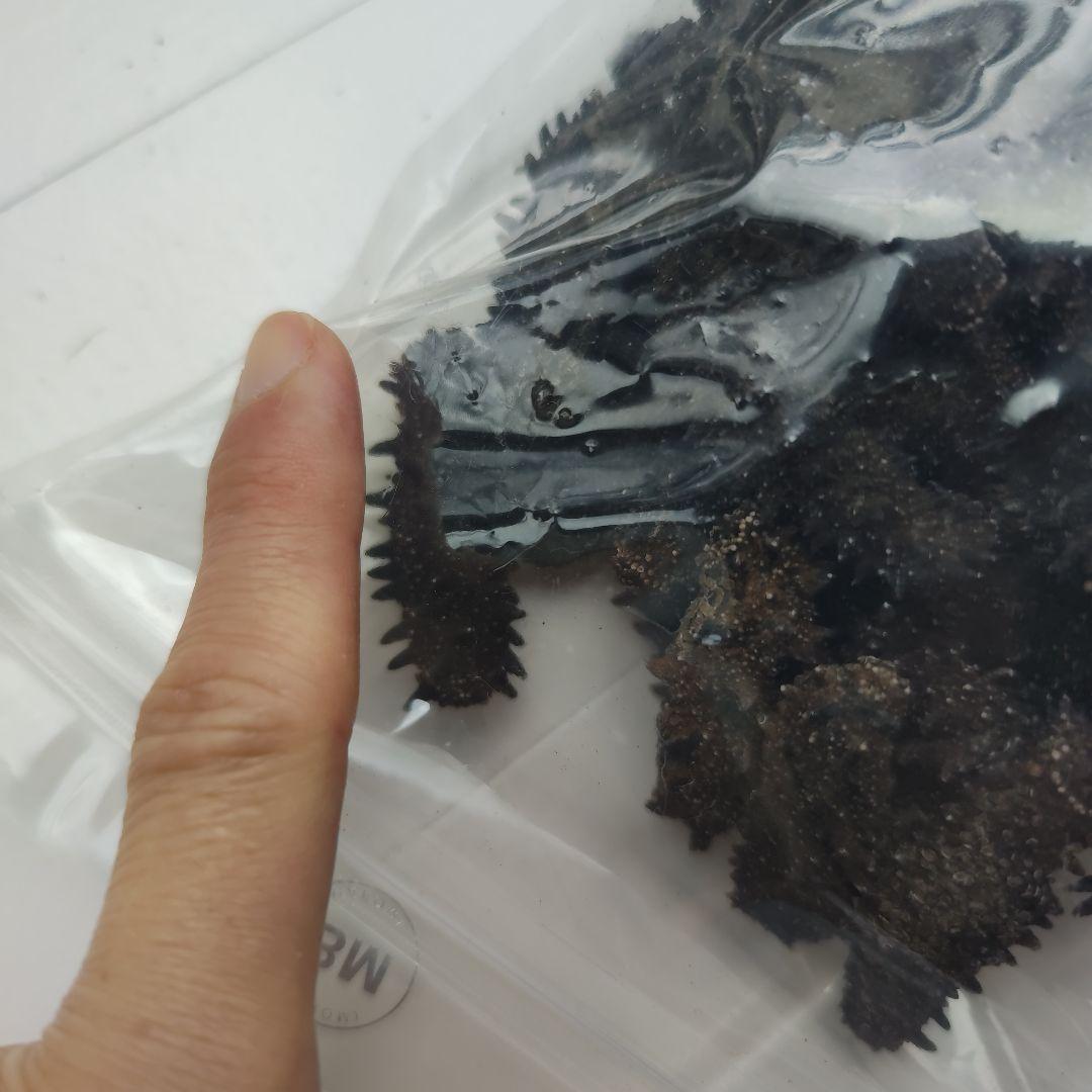 北海道産乾燥ナマコ  500gr