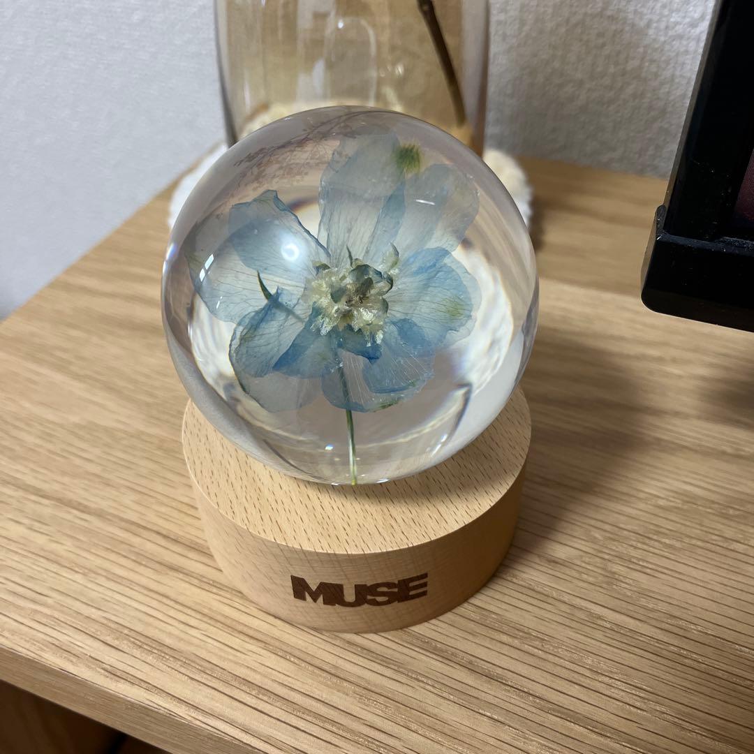 MUSE ペーパーウェイト ジミン　BTS