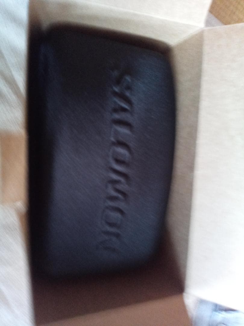 SALOMON RADIUM PRO ゴーグル　未使用新品