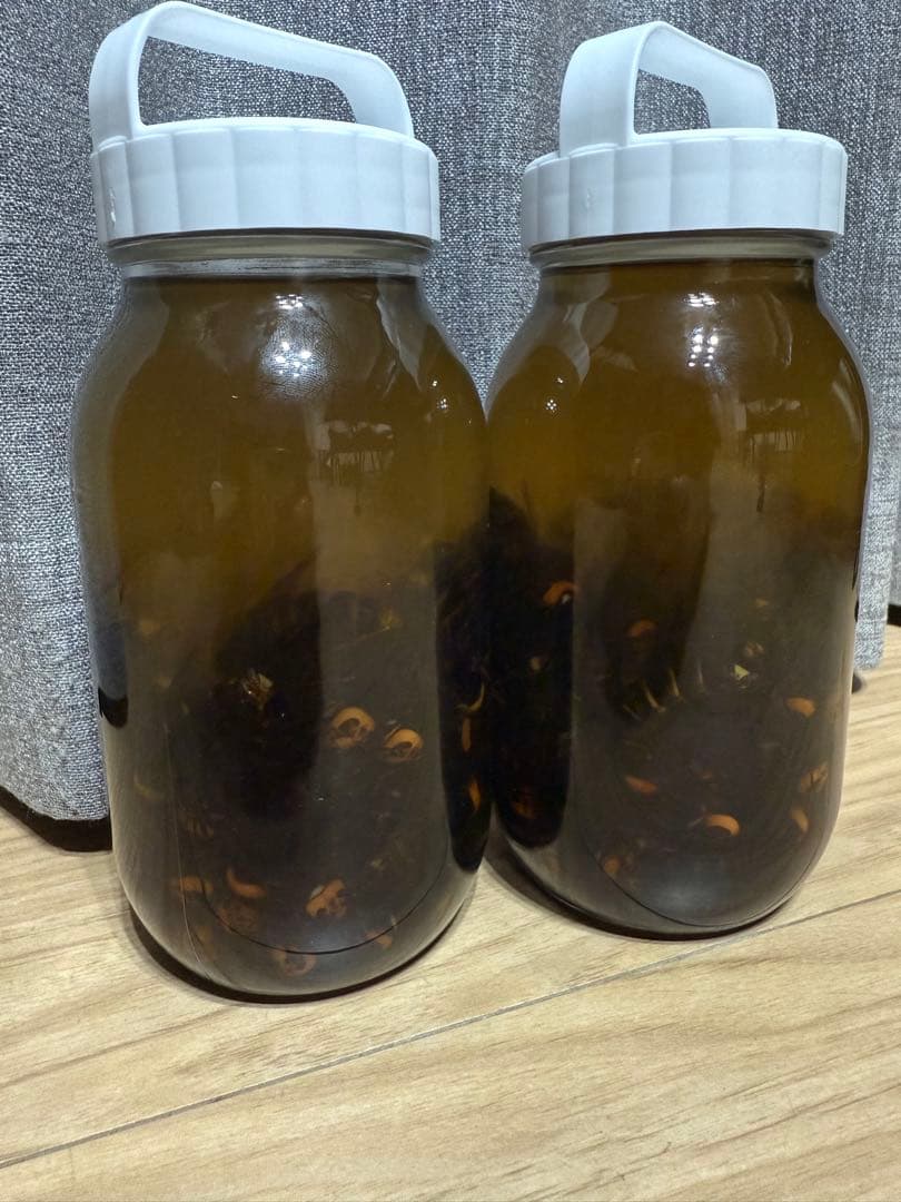 スズメバチ　焼酎漬け　ホワイトリカー　100匹