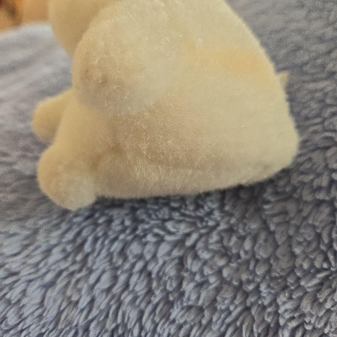 ミニペットクラブ　わたしのハムスター　パムくん