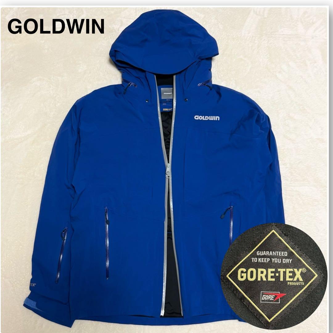 美品 GOLDWIN スキーウェア ゴアテックス 青 収納多数