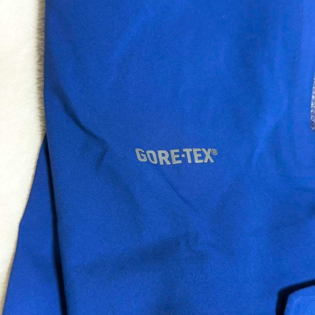 美品 GOLDWIN スキーウェア ゴアテックス 青 収納多数