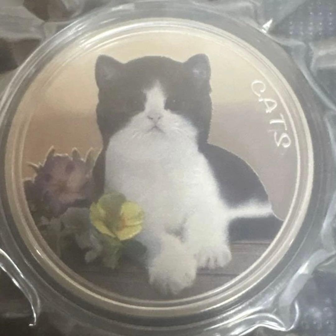 フィージー　2022年キャット銀貨カラー　1オンス カプセル付き